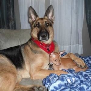 Meet your Posher, Angela